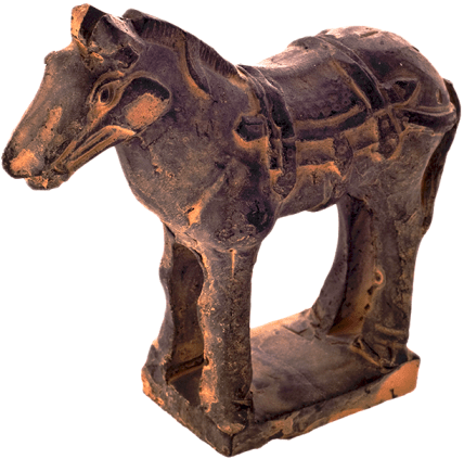 irradiated and cleansed